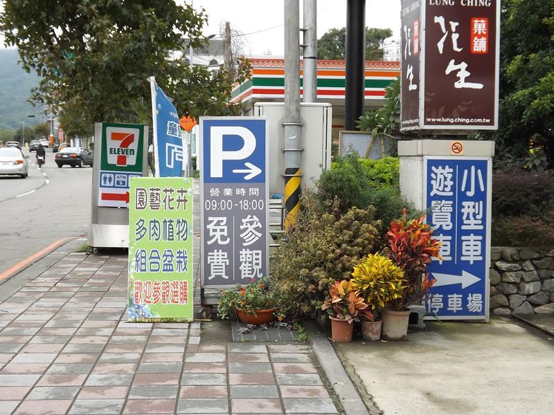 龍情魔幻豆子主題館還有販售許多植物盆栽