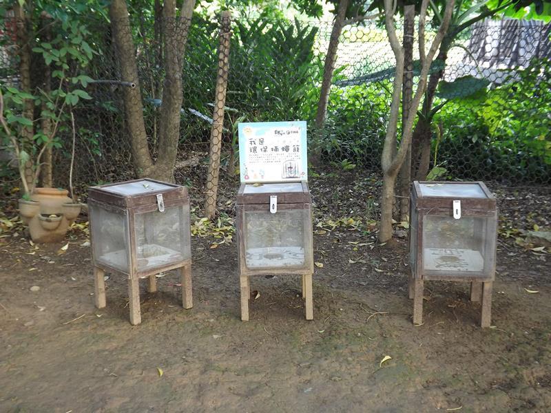 環保捕蠅籠