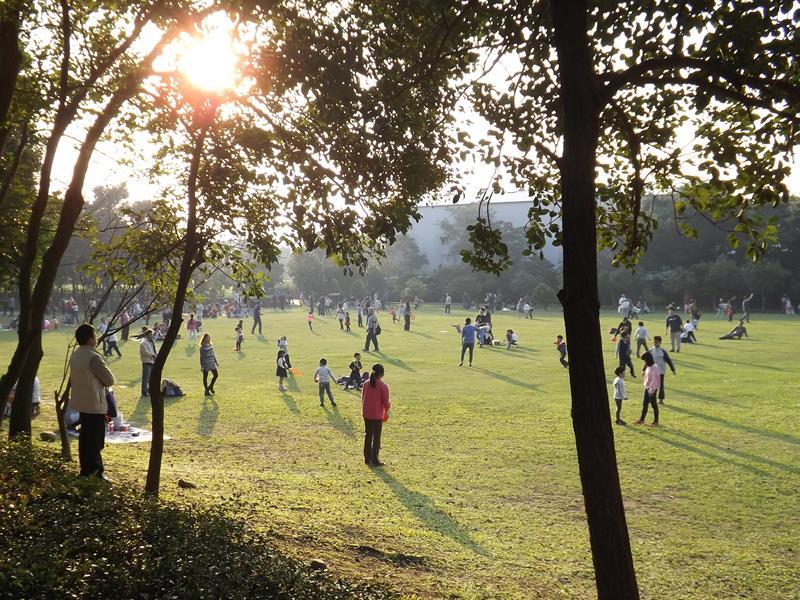 八德埤塘生態公園的大草皮