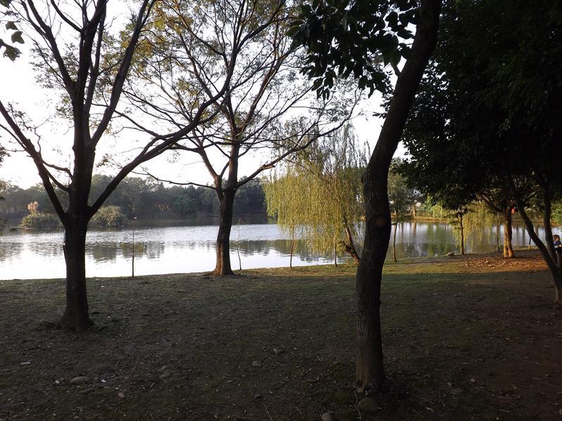 八德埤塘生態公園處處都是美景