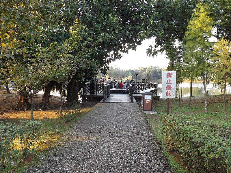 觀景台也很適合觀賞整座埤塘的風景
