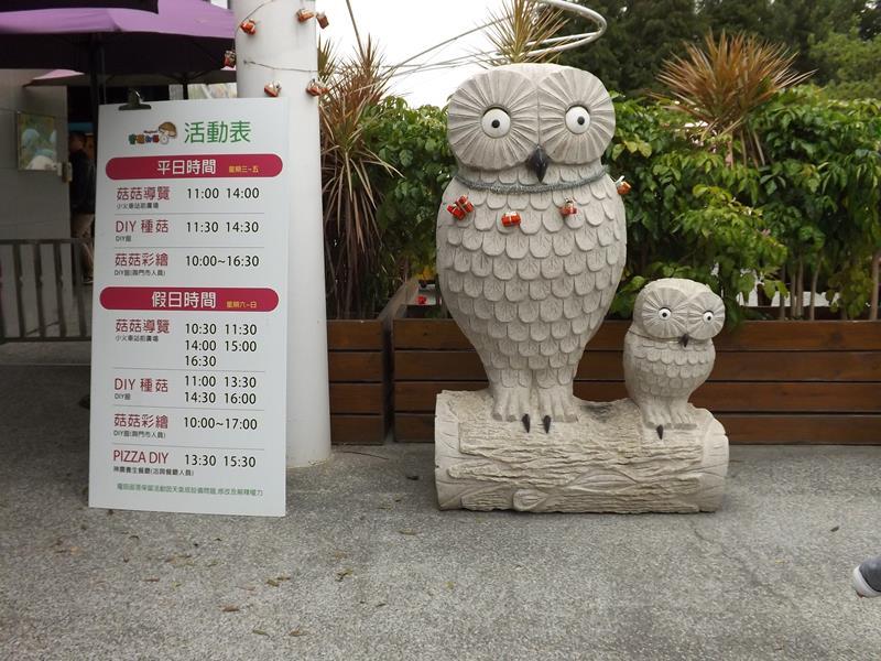 魔菇部落活動時間表