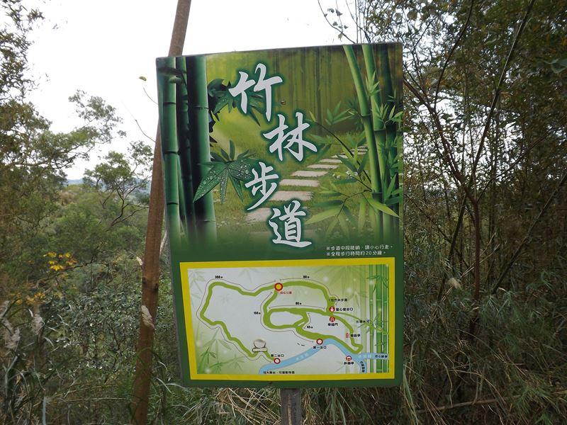 心鮮森林竹林步道