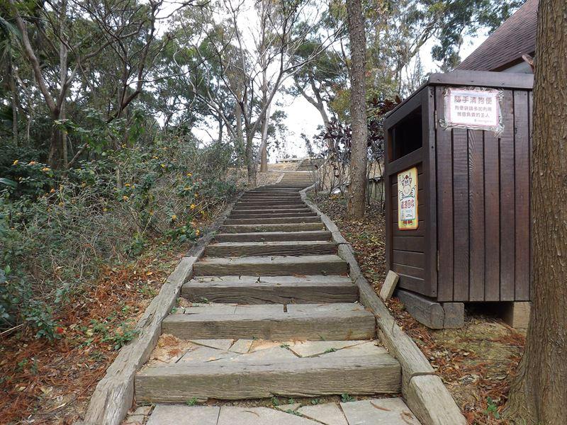 竹林步道的階梯