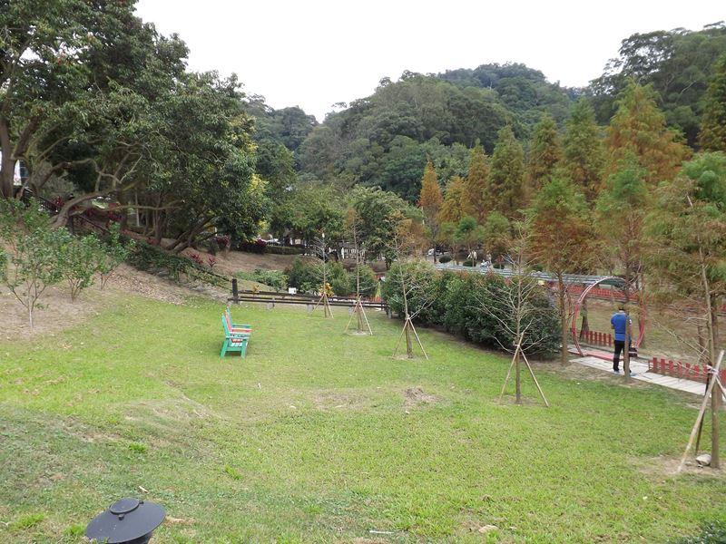 心鮮森林到處都是美景
