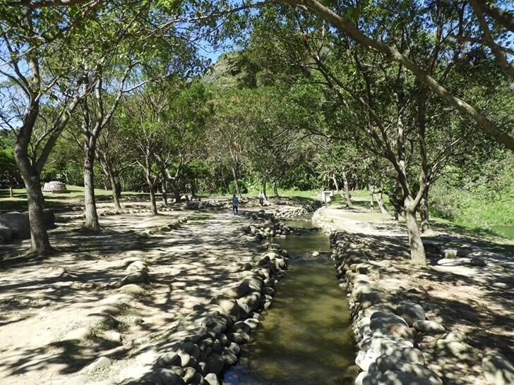 生態公園的小溪流