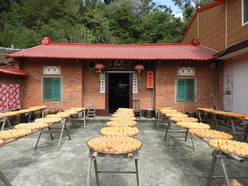 三合院前小廣場也是曬柿餅的場地
