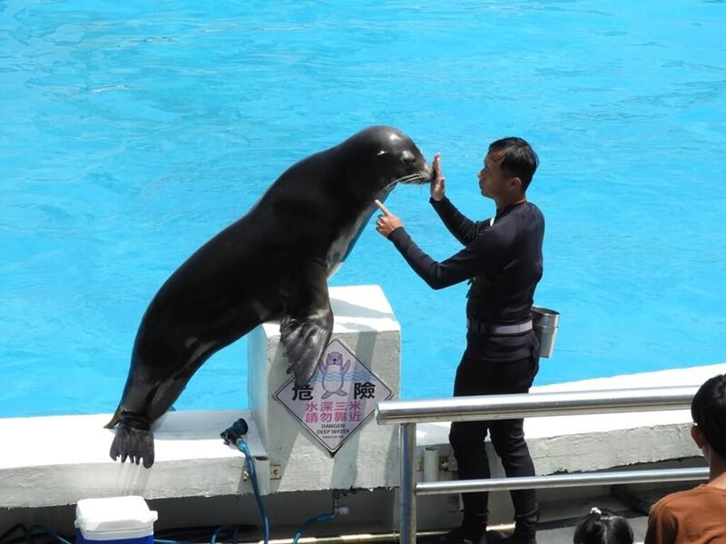 野柳海洋世界的海獅表演