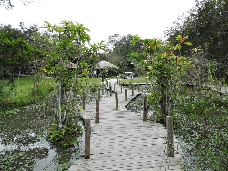 水生植物園區