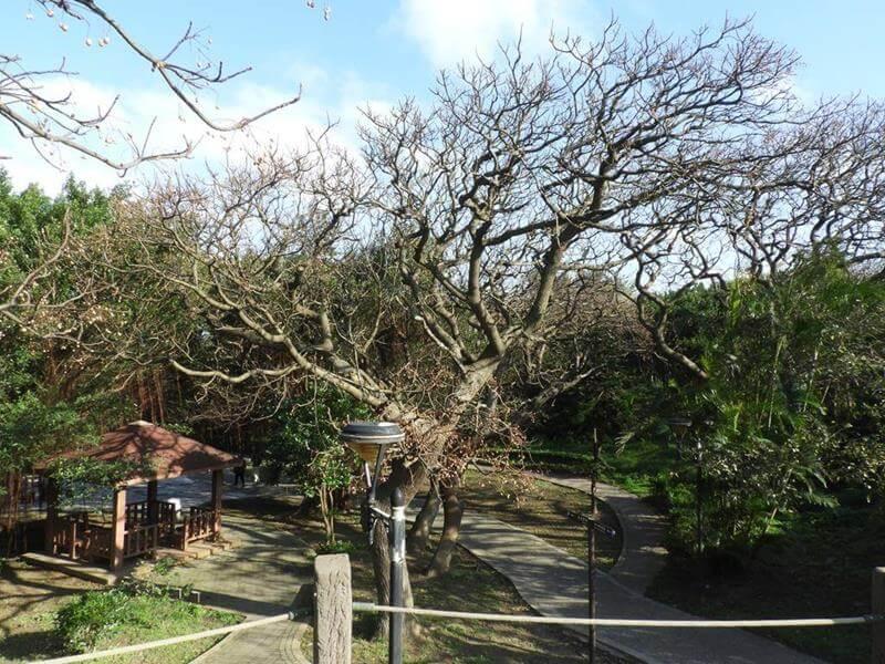 燈塔旁的公園