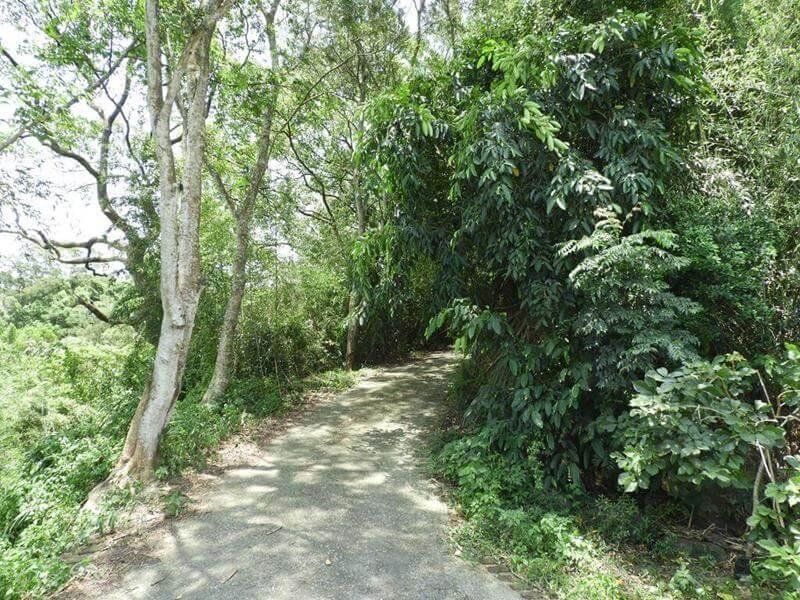 接著開始走十二寮登山步道