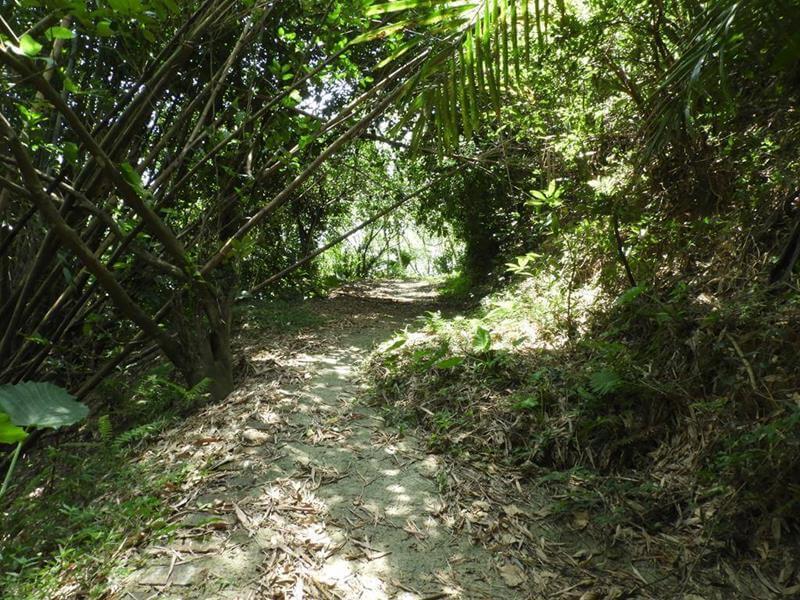 十二寮登山步道的上坡段