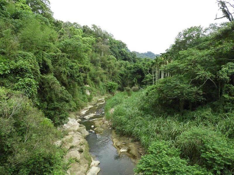 景山溪清澈的溪流