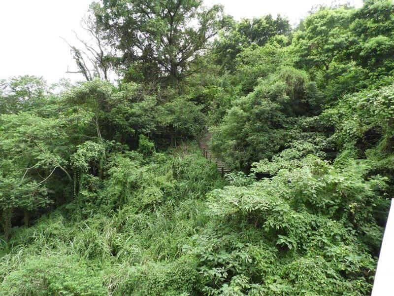 對面樹林間的小路上去就是南斷橋