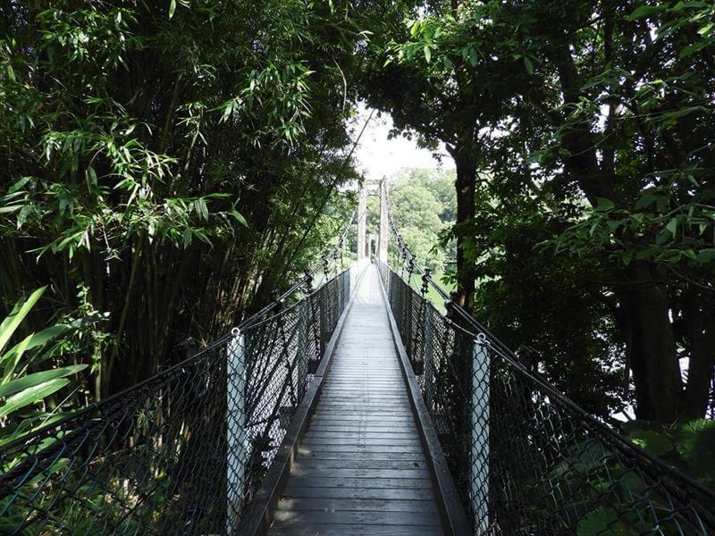 到達寶山水庫第一座吊橋=寶湖吊橋