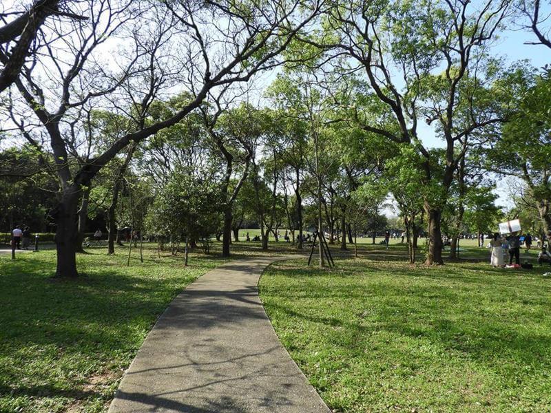 園區林蔭步道