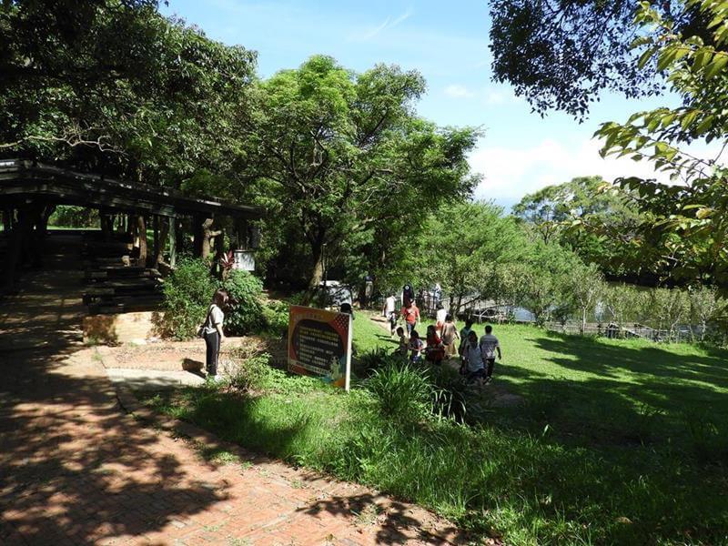 雁鴨魚池到囉
