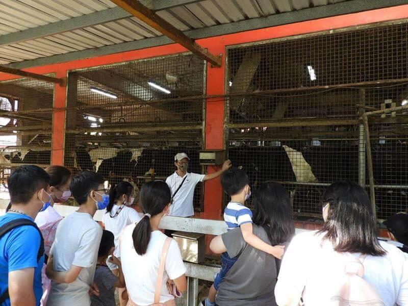趕回來聽擠牛奶解說