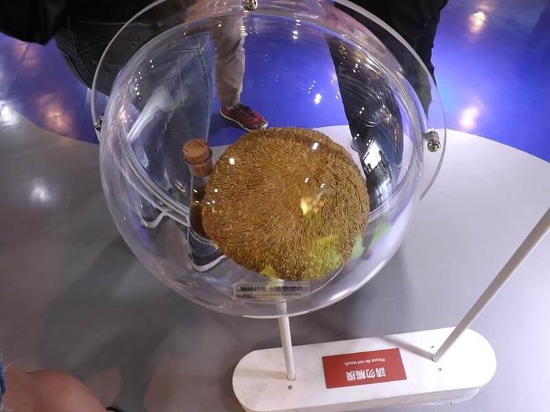 這究竟是什麼東西有人知道嗎？
