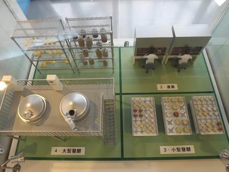 葡萄王生技研發模型