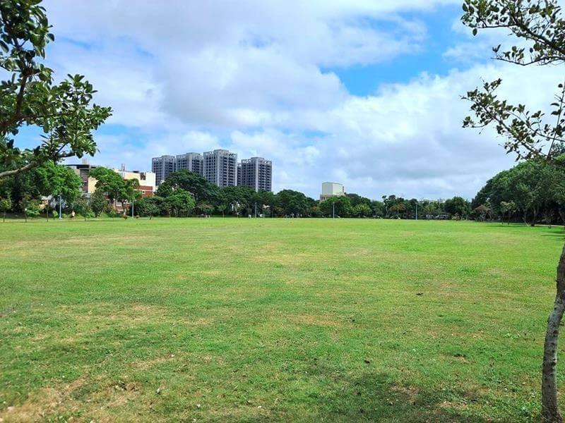 龍岡萬坪公園的大草皮