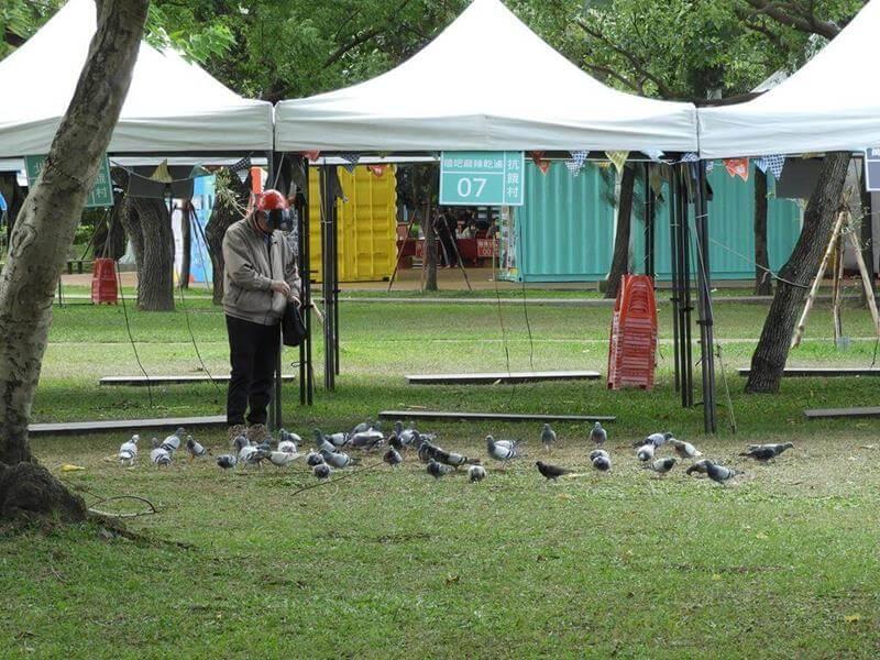 龍岡森林公園的鴿子不怕人