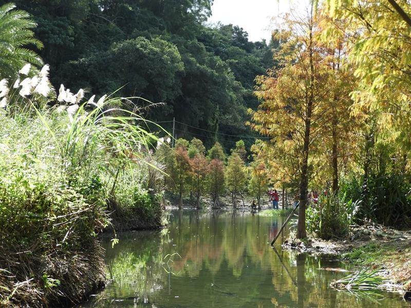景緻優美的月眉人工濕地生態公園