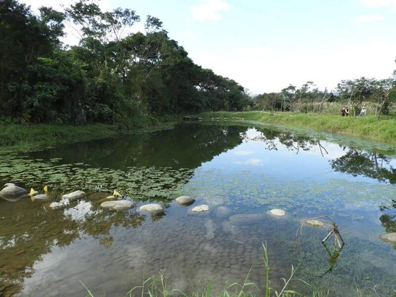 大溪山豬湖親水生態園區的湖水清澈見底