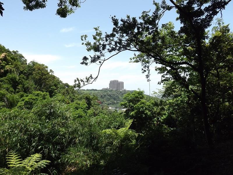 在齋明寺古道眺望遠山