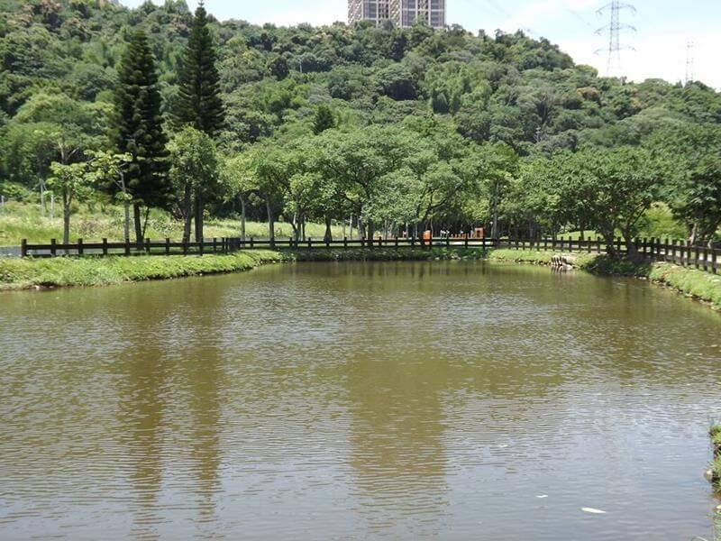 大溪河濱公園的水池