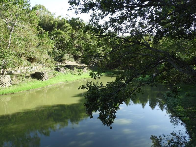 生態池景觀很美