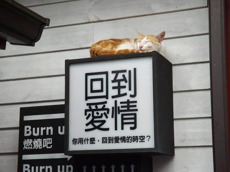 好想......回到愛情