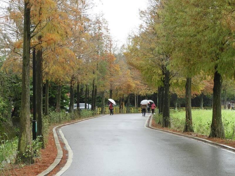 今天有點飄毛毛雨，地面都是濕的