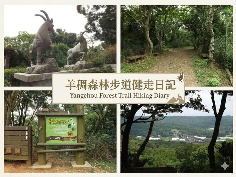 桃園蘆竹羊稠森林步道健走遊記